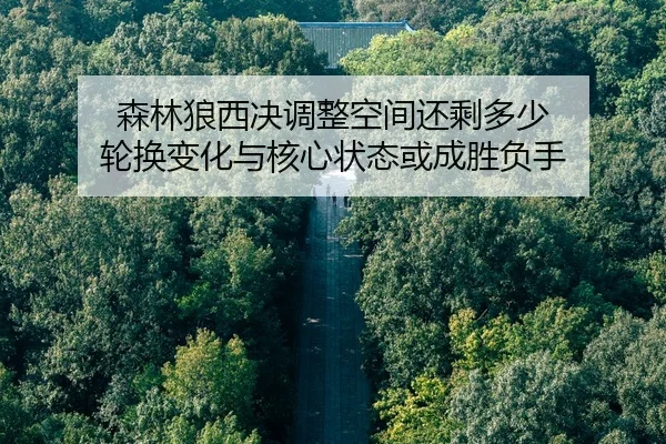 森林狼西决调整空间还剩多少 轮换变化与核心状态或成胜负手