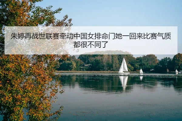 img_1780573858437_4_2_941.jpg